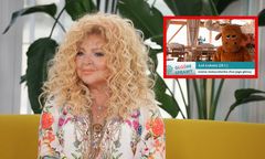 Kpią z Magdy Gessler. "Przemówił" sam łoś, o którego toczy się spór