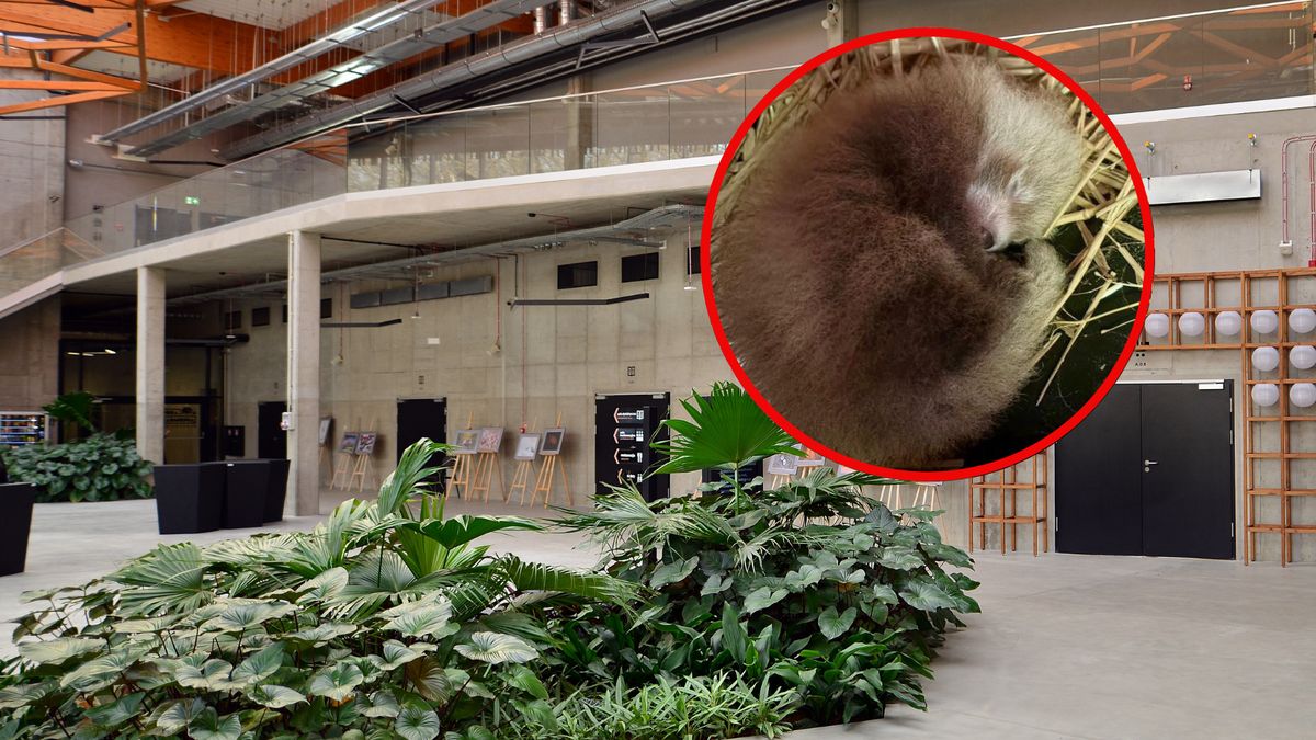 Malec z Łodzi rozwija się prawidłowo 