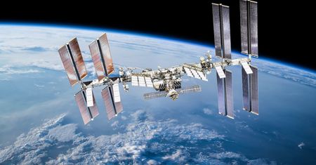 Polskie glony na ISS zaskoczyły naukowców. Wyraźne zmiany