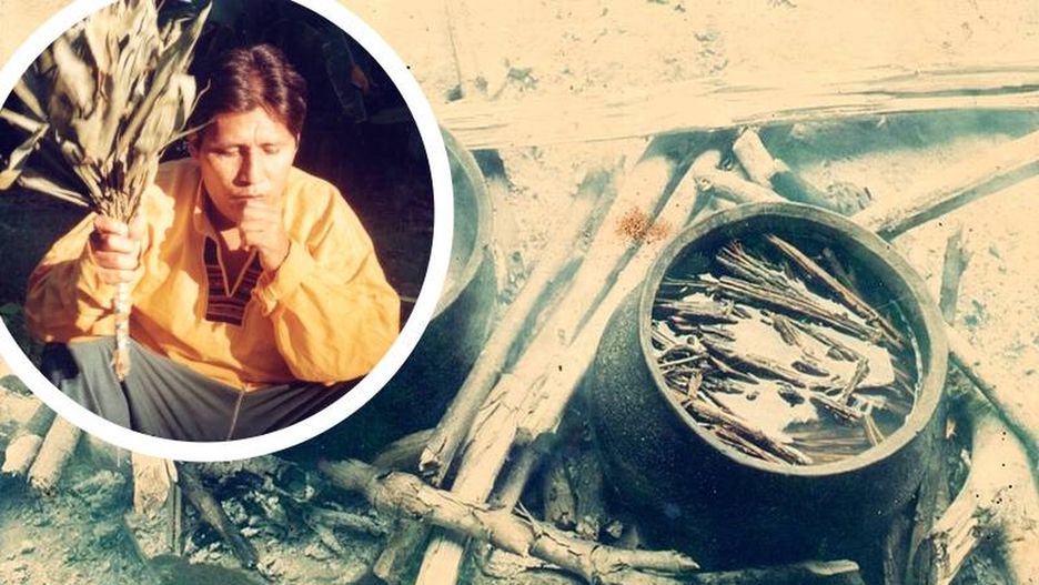Historia ayahuaski