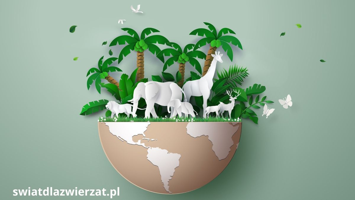 Światowy Dzień Zwierząt 4 października