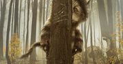 15 filmów walczy o Oscara 2009 za efekty specjalne