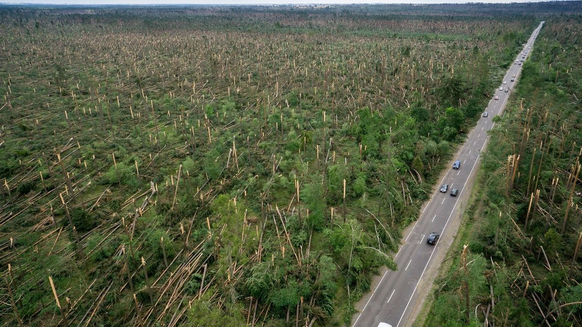 13.08.2017. Widok lasu z lotu ptaka po przejściu nawalnicy w okolicach Suszka.