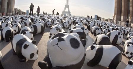 Papierowe pandy