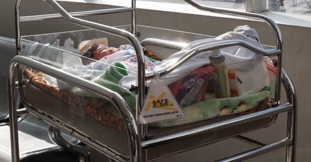 Małpa zaatakowana niemowlaka. Dziecko walczy o życie