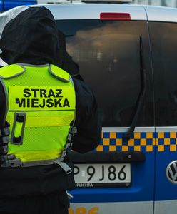 Straż miejska zapuka do drzwi mieszkań. Dostanie nowe uprawnienia