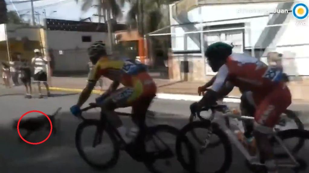 twitter.com/wcsbike / Pies na trasie Vuelta SJ