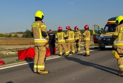 Łosie wybiegły na drogi. Mężczyzna nie żyje