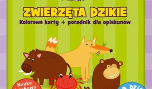 Karty obrazkowe dla dzieci - Zwierzęta dzikie