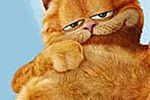 Bill Murray powróci jako Garfield