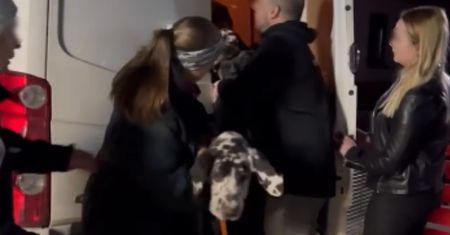 Znaleźli je przy granicy. "Porzucone tuż za przejściem"