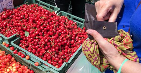 100 zł za kilogram czereśni. Oto skąd pochodzą