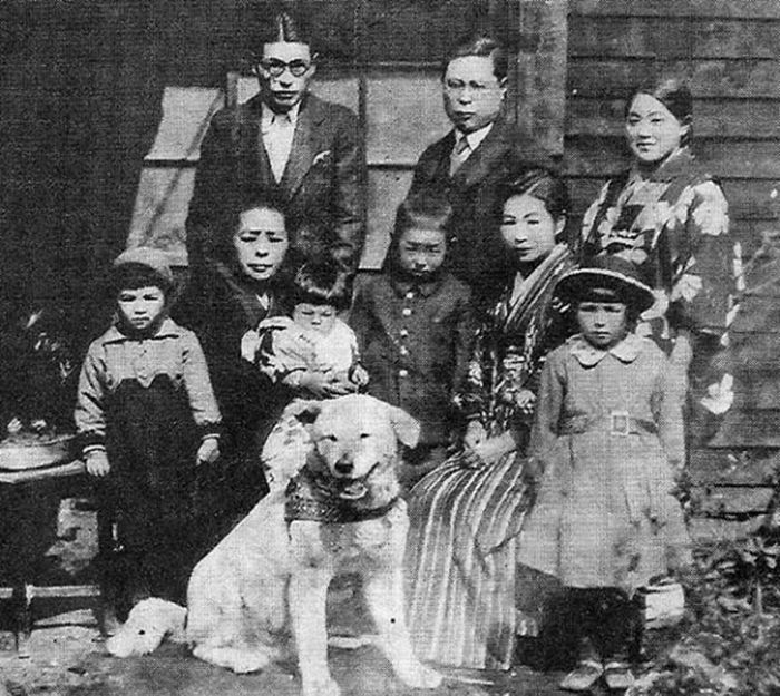Rzadkie zdjęcia psa Hachiko, który czekał na swojego pana aż do śmierci 5