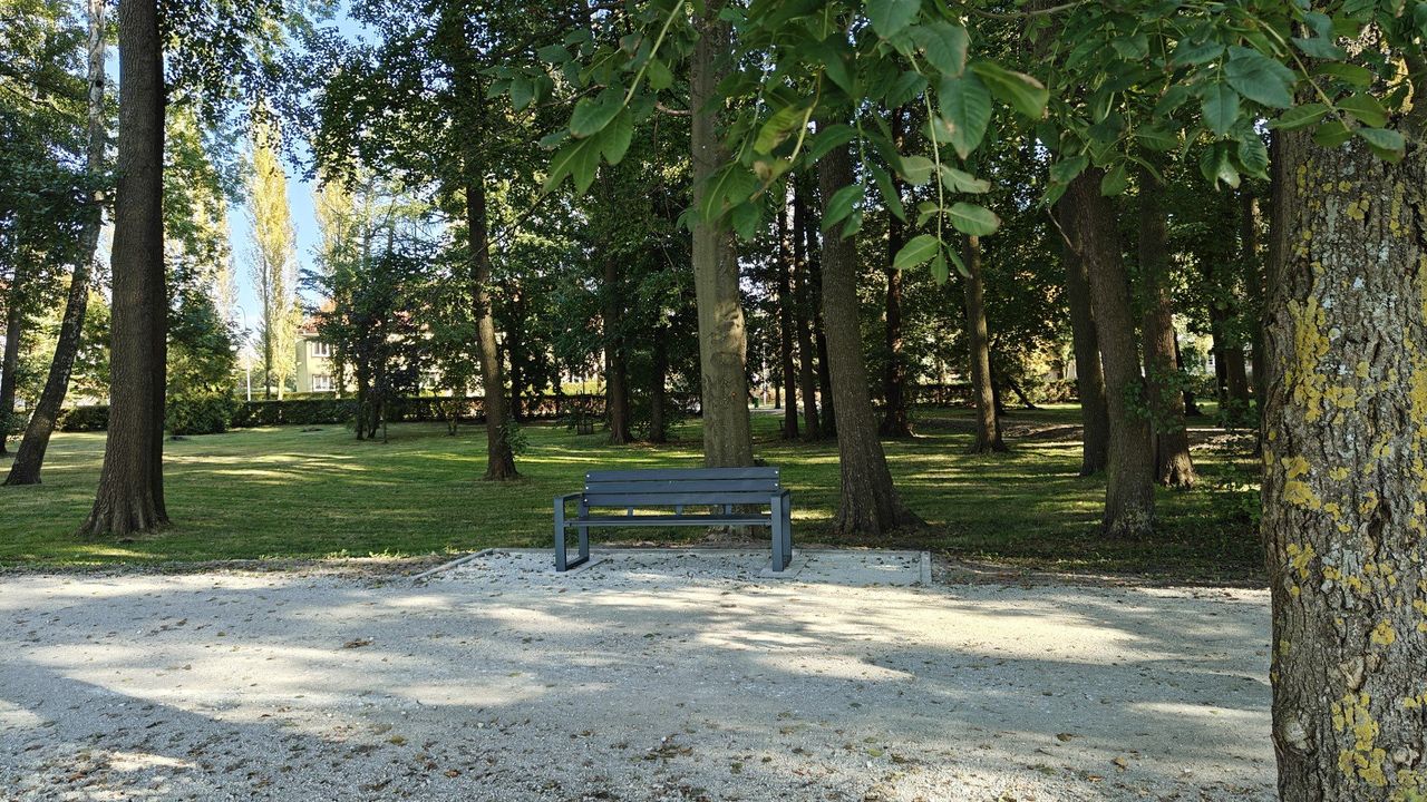 Szczecinek: W parku miejskim stanęły nowe ławki i hamaki