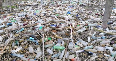 Morze plastiku nad Jeziorem Żywieckim. "Efekt pandemii"