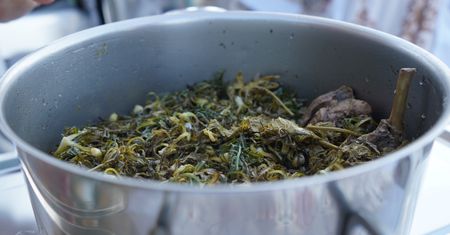 Na Krecie kosztuje krocie w restauracjach. W Polsce rośnie dziko i nikt jej nie zbiera