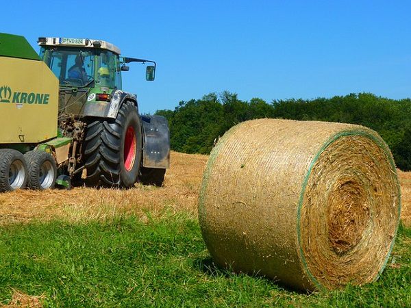 ARiMR rozpoczęła przyjmowanie wniosków o przyznanie premii młodym rolnikom