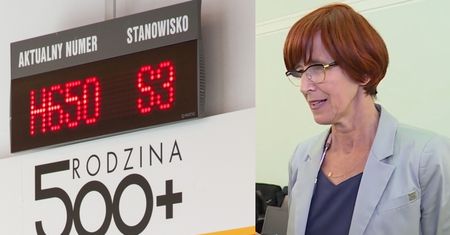 PUDELEK W SEJMIE: Minister Rafalska o bonach 500+: "Może się tak zdarzyć, że alkohol jest wyłączony z zakupów"