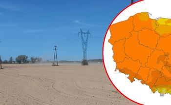 Poważna susza w Polsce. Krajobraz jak na pustyni