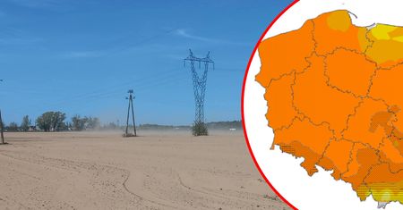 Poważna susza w Polsce. Krajobraz jak na pustyni