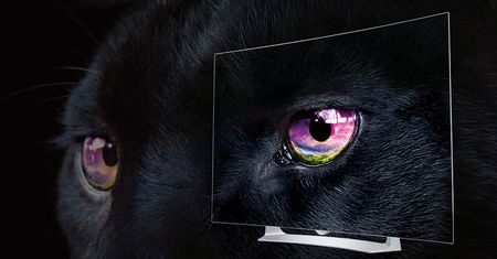 LG OLED EG910V: tak wygląda przyszłość telewizorów?