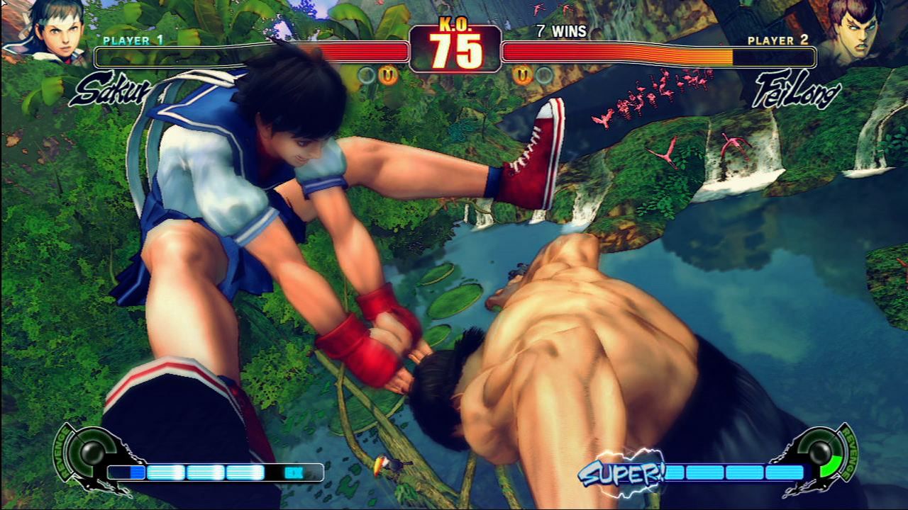 Galeria: Street Fighter IV