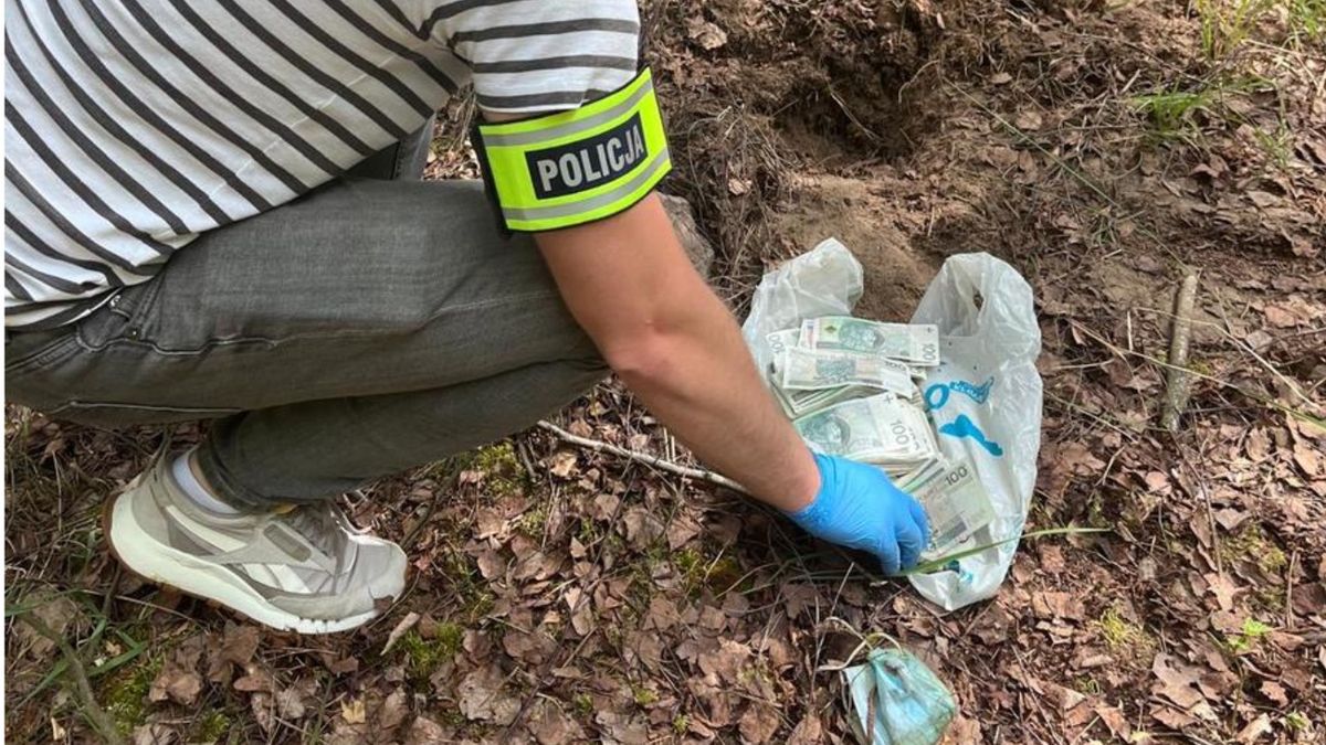 Zakopane pieniądze w lesie