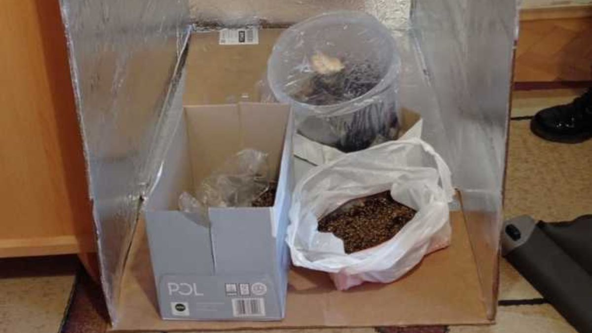 Środki odurzające w jednym z mieszkań w Wieliczce