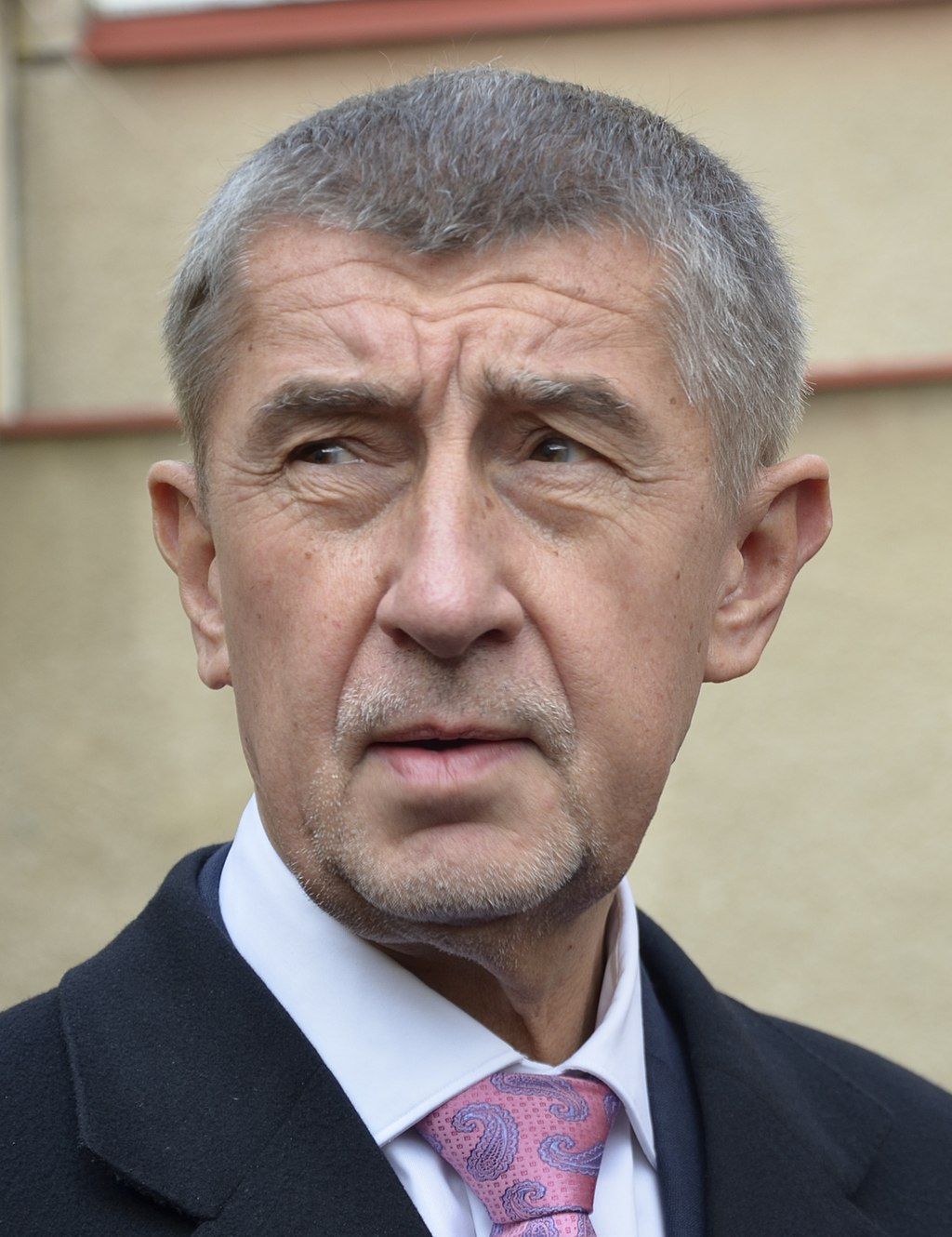Czechy przed wyborami: Babiš na fali, ale bez większości. Ekstremiści mogą zyskać wpływy