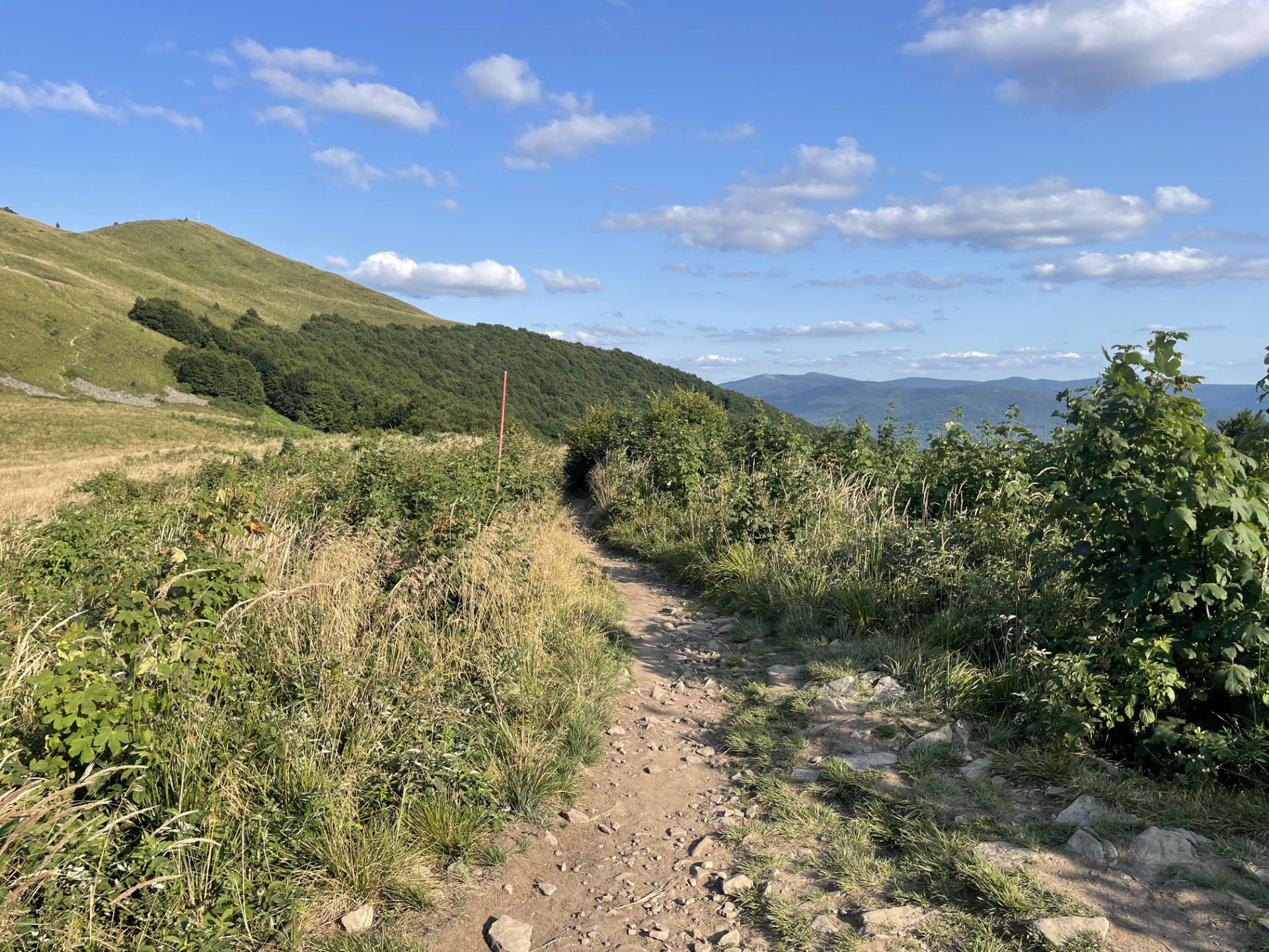 Bieszczady pełne są miejsc dla koneserów ciszy i spokoju