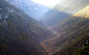 Polsat Viasat Nature HD Wjosa