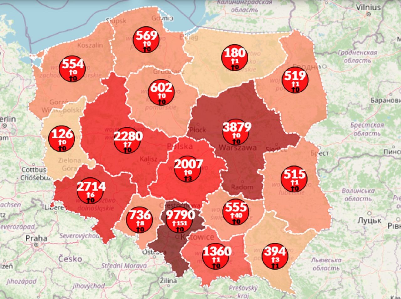 Koronawirus w Polsce. Mapa pokazuje wzrost zachorowań. Na świecie już 7 milionów zakażeń