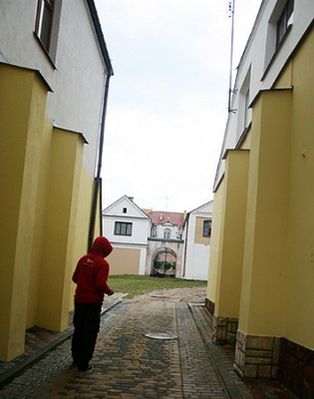 Obraz