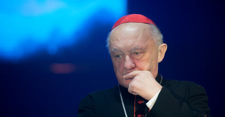 Poseł Lewicy zdziwiony słowami kard. Nycza