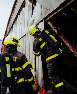 Pożar skateparku w Czechach. Polak podejrzany o podpalenie