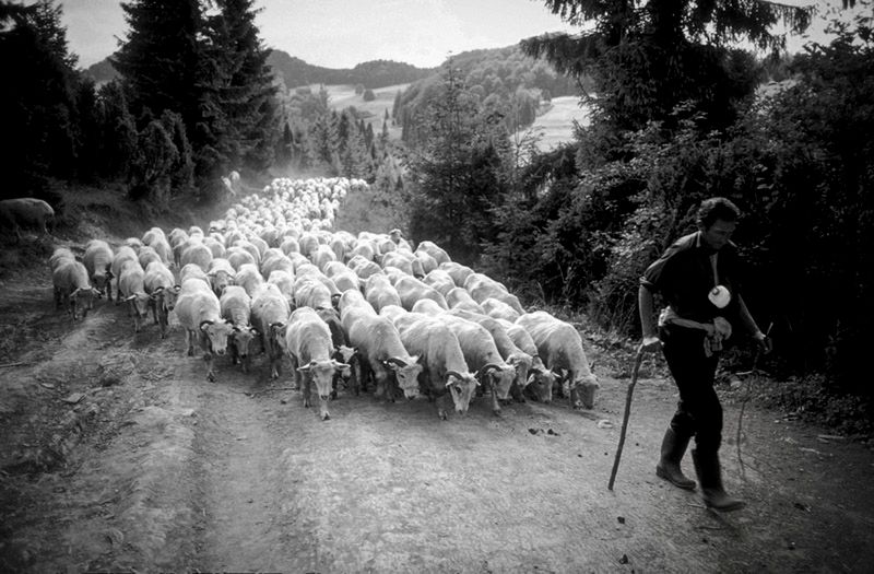 Fotoreportaż w praktyce część II – selekcja i edycja zdjęć [poradnik] 3