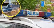 Zuchwała kradzież koło Grójca. Odjechał busem zaparkowanym obok sadu