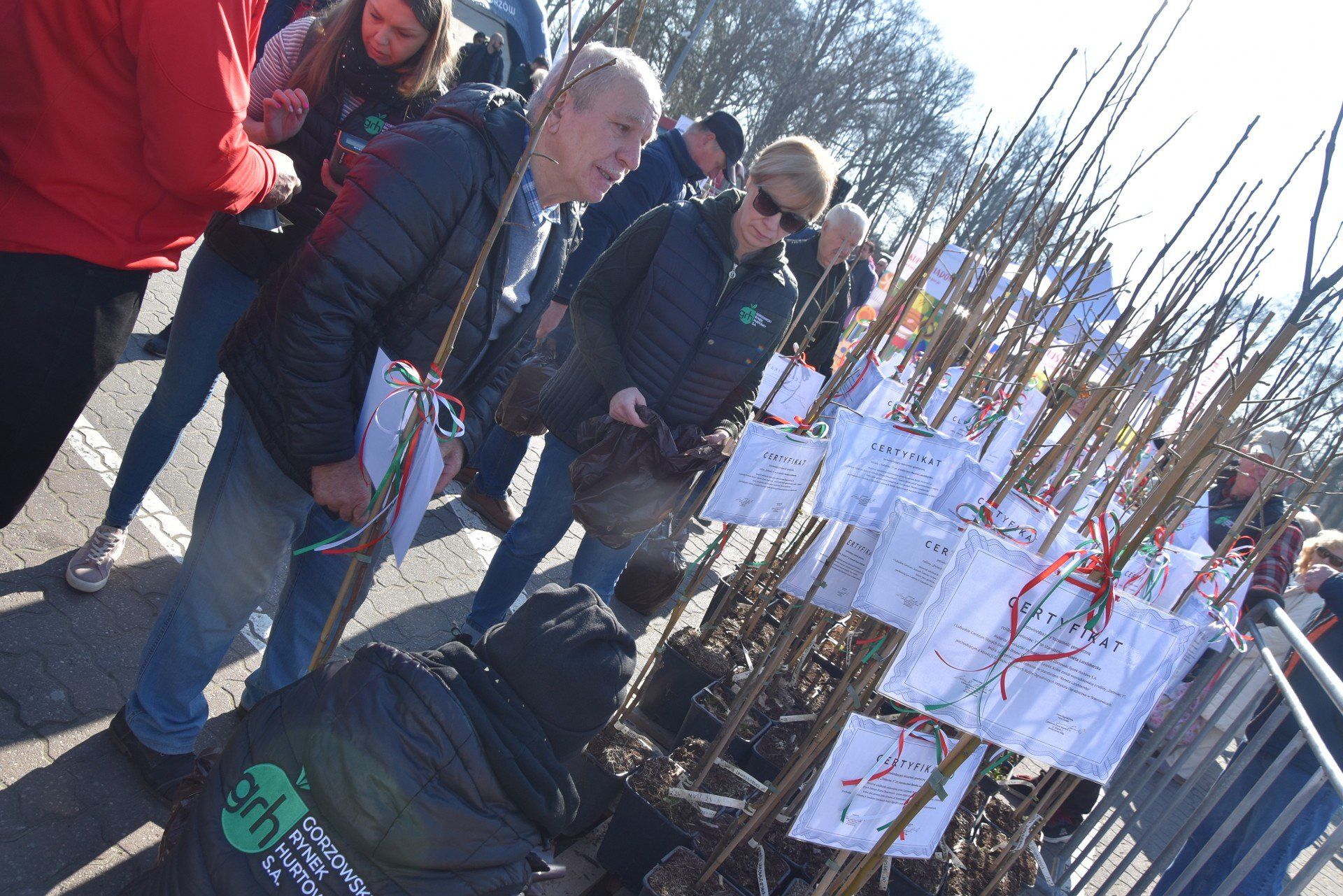 Akcja sprzedaży sadzonek renety landsberskiej za każdym razem cieszy się ogromnym zainteresowaniem. GRH sprzedaje drzewka dwa razy w ciągu roku.