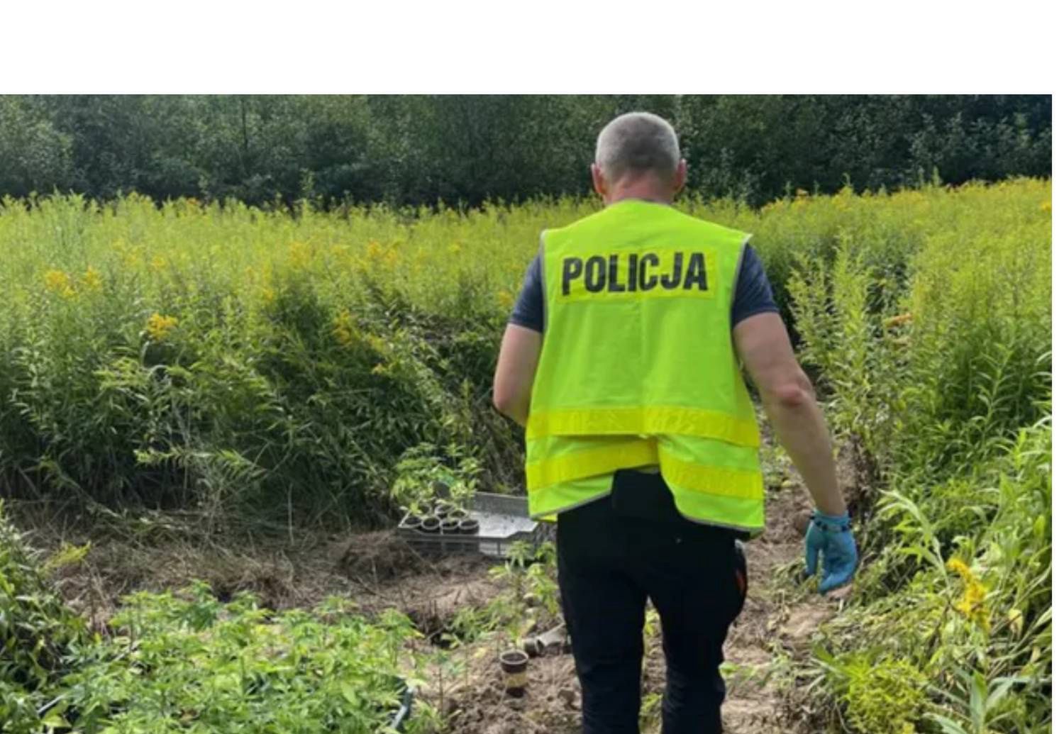 Policja weszła na nieużytki