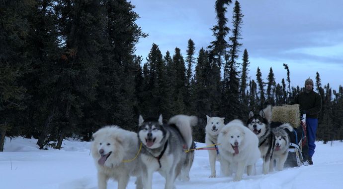 Alaska: Następne pokolenie