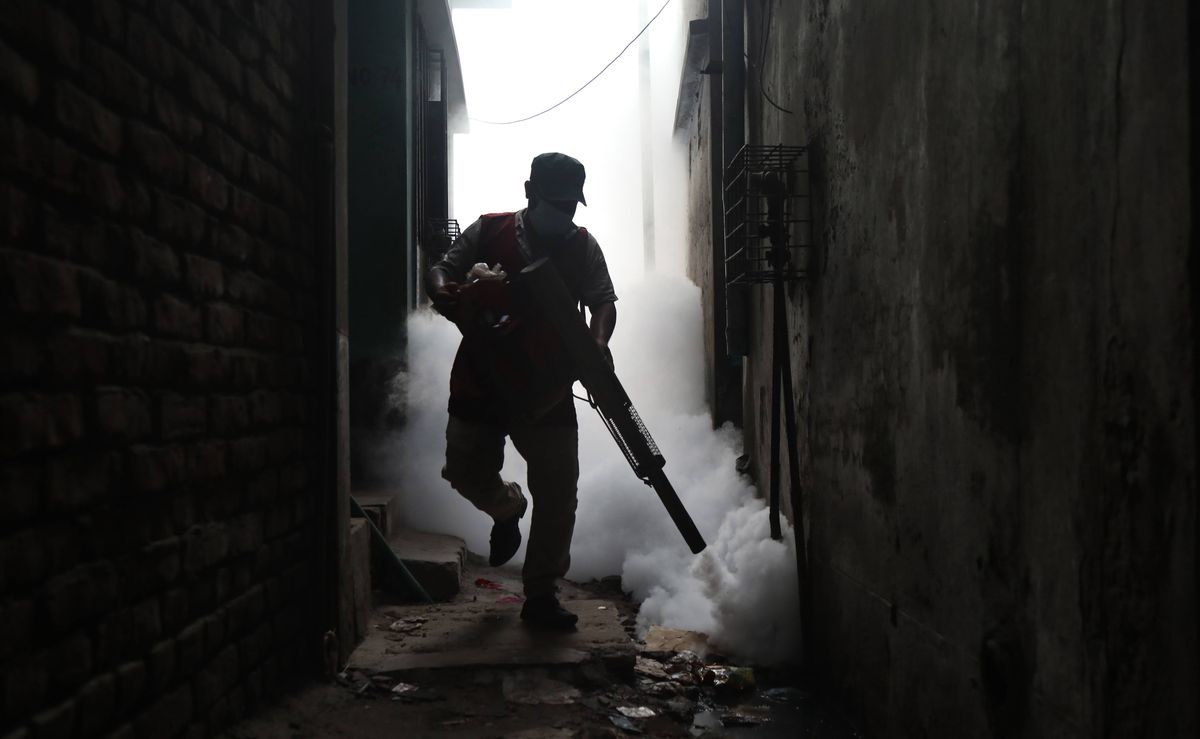 10 lipca. Pracownik służb miejskich w Dhace, stolicy Bangladeszu rozpyla środek przeciwko komarom z powodu drastycznego wzrostu zachorowań na dengę