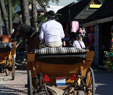 Arabscy turyści pokochali Zakopane. Jeden z szejków nie oszczędzał na swoich żonach