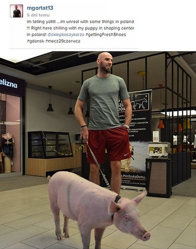 Zdjęcie Gortata ze świnią na jego oficjalnym koncie Instagram