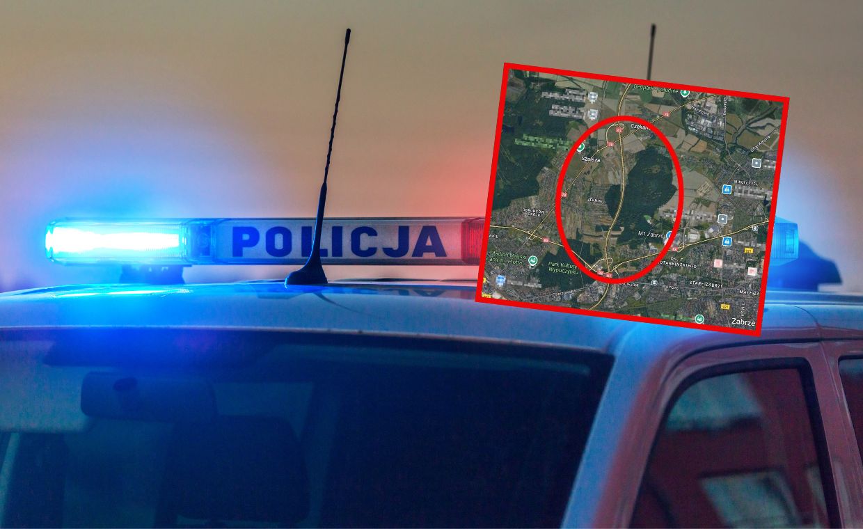 Trwają poszukiwania złodziei