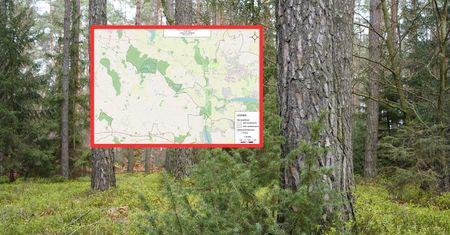 Nie wejdziesz do tego lasu. Zakaz do końca maja. Opublikowano mapę