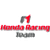 Honda F1 Team