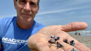 Pokazał zdjęcia z plaży. "Jakby ktoś wbijał ci igły w skórę"