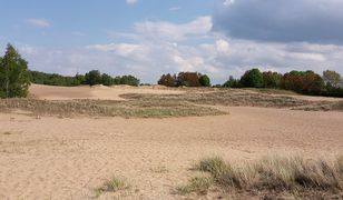 Грохальські піски — пустеля поблизу Варшави