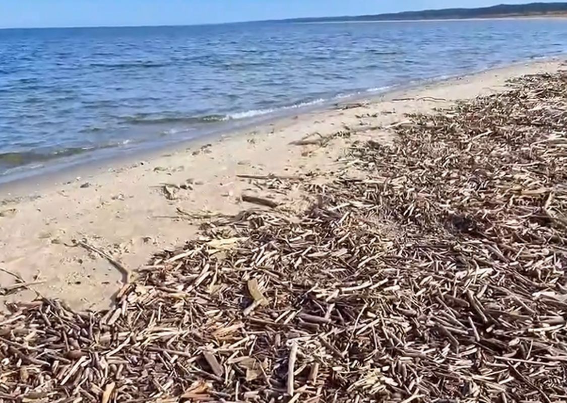 Skarb w stercie patyków. Szła plażą w Jantarze, chwyciła za telefon