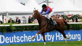 Dramat niemieckich hodowców. Nagła śmierć konia wartego fortunę